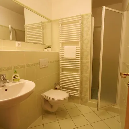Guest house Romana 3*