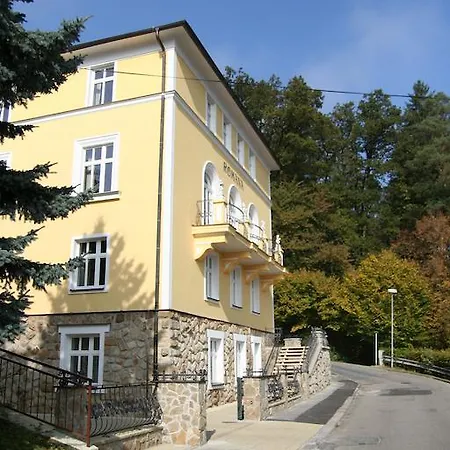 Guest house Romana 3*